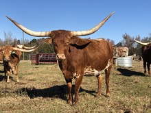 KCCI HEIDI