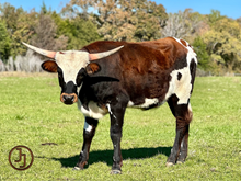JJ RURAL FRANCI