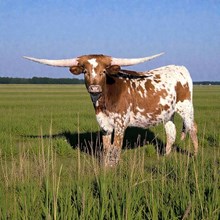 Tempted by Firetruck HCL